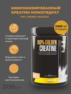 Микронизированный креатин 100% Golden Creatine 300g MAXLER 220153134 купить за 1 970 ₽ в интернет-магазине Wildberries