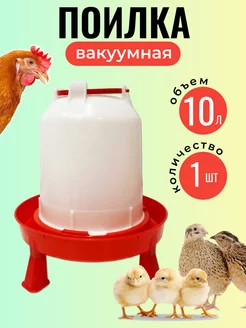 Поилка для кур и цыплят вакуумная на ножках 10 л 1 шт