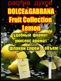 original DOLCE & GABBANA LEMON