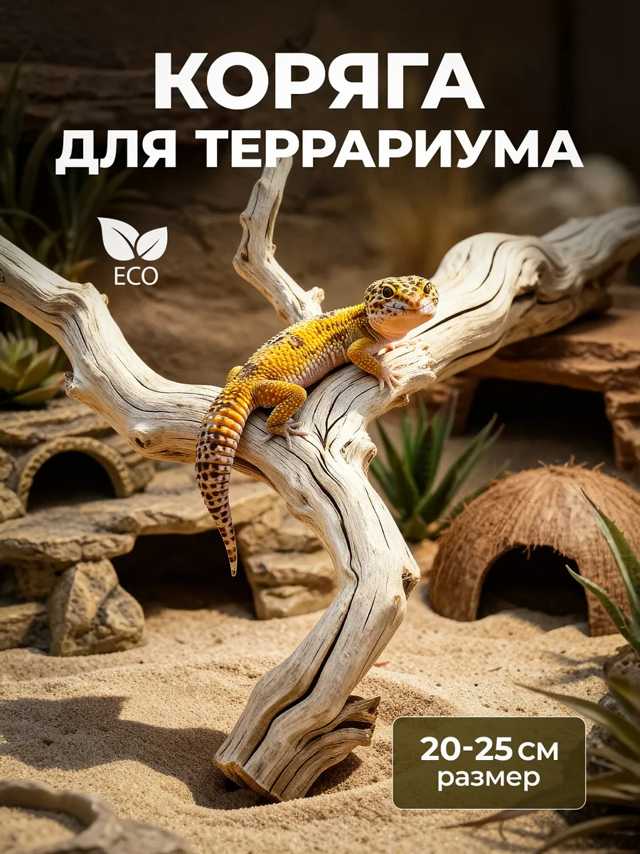Белая коряга, 20-25 см