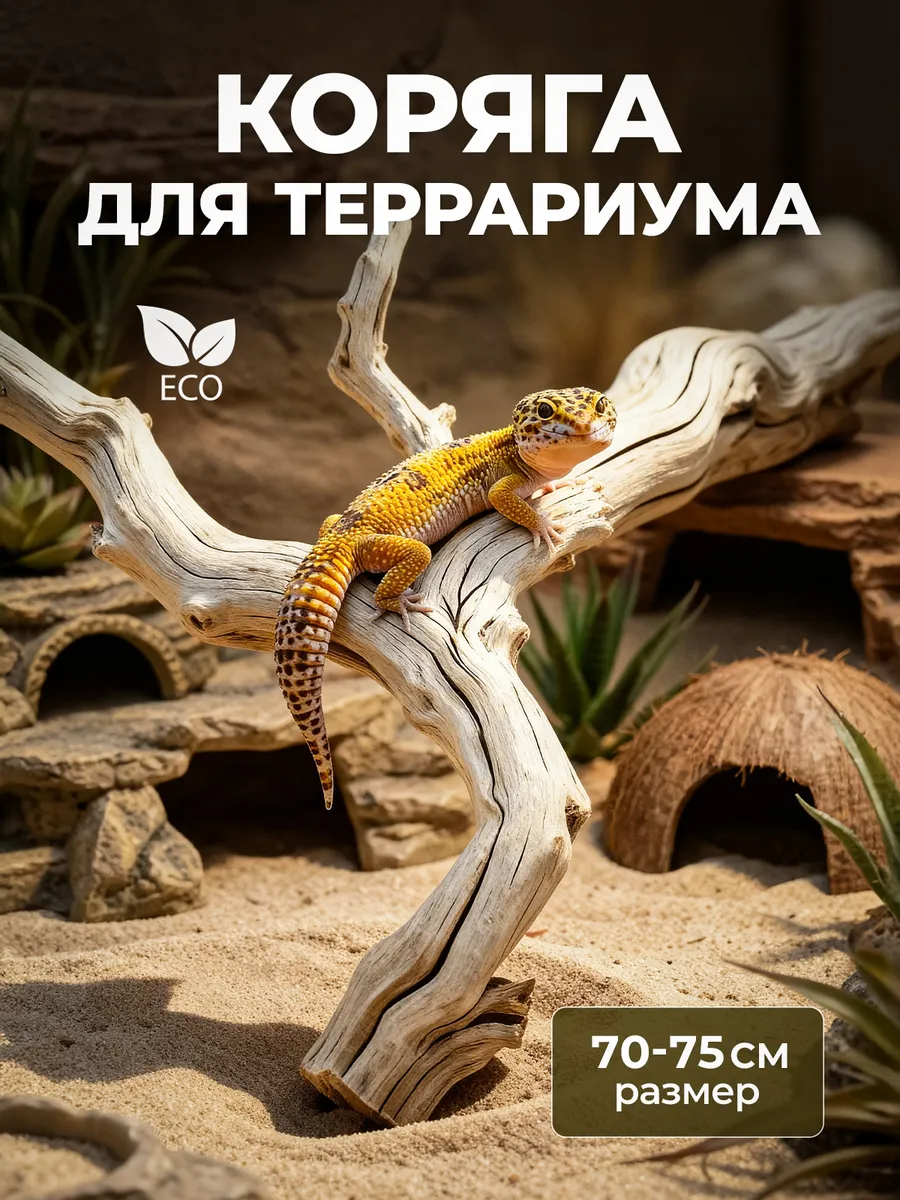 Белая коряга 70-75 см