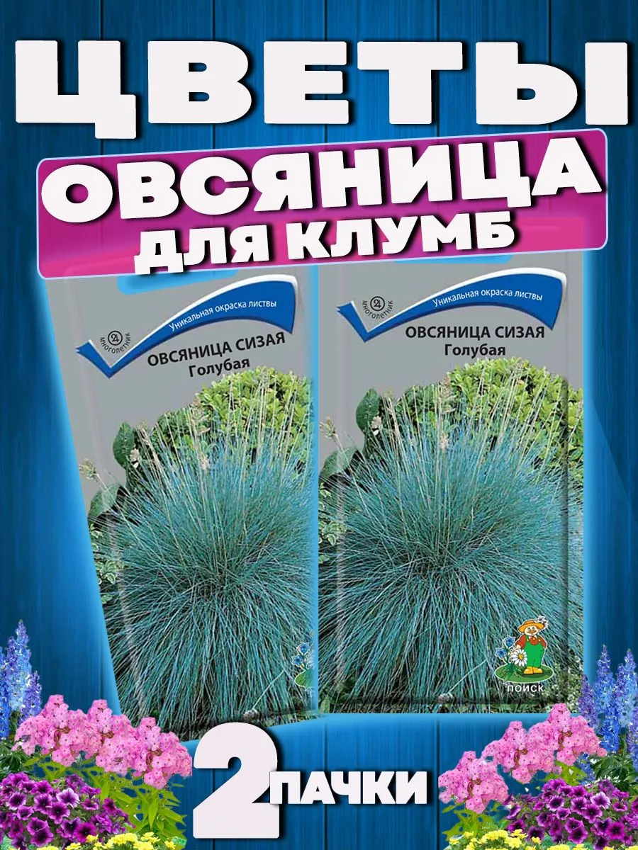 В национальном парке «Куршская коса» посадили 7520 деревьев через интернет