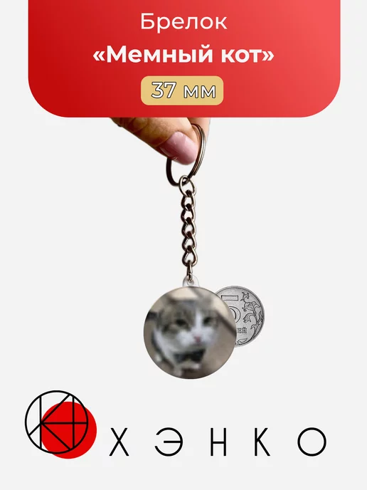 Мемный кот с бабочкой