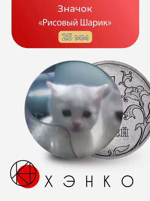 Рисовый Шарик hello street cat