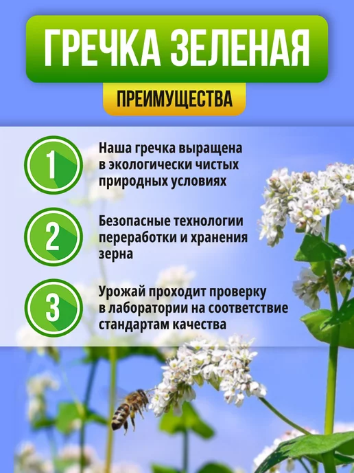 новая жизнь Гречка зеленая крупа непропаренная 3 кг, зеленый, фото 4