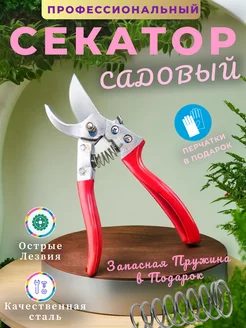 Секатор для сада, деревьев, цветов, профессиональный