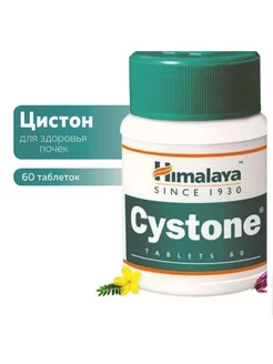 Экстракт растений Cystone Хималая 60 таб Himalaya 220714035 купить за 340 ₽ в интернет-магазине Wildberries