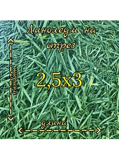 Линолеум 2,5м на 3м