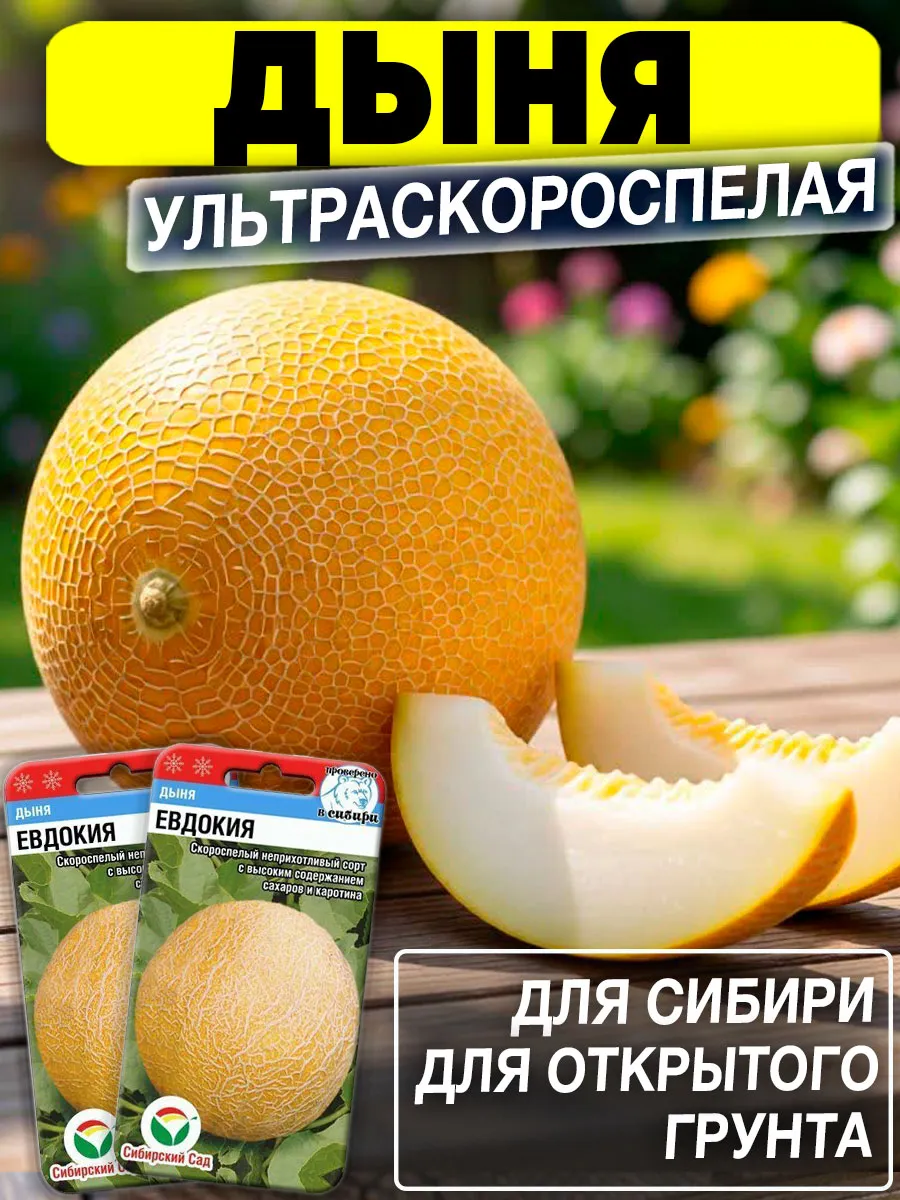 Семена Дыни Евдокия скороспелая