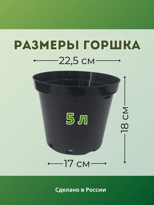 Тарус Горшки для рассады литые 5л - 10шт, 5 л, 10 шт, фото 2