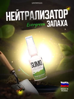 Нейтрализатор запаха Evergreen spray 30 мл. SUMO 220781129 купить за 260 ₽ в интернет-магазине Wildberries