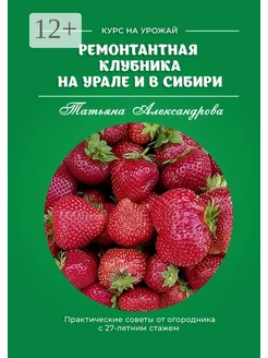 Ремонтантная клубника на Урале и в Сибири