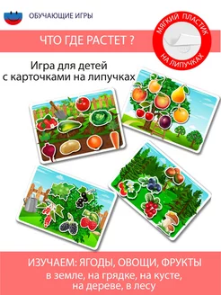 Развивающая игра на липучках для детей "Что где растет?"