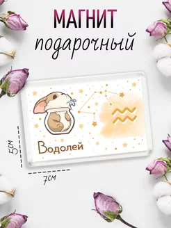 Магнит Корги Водолей