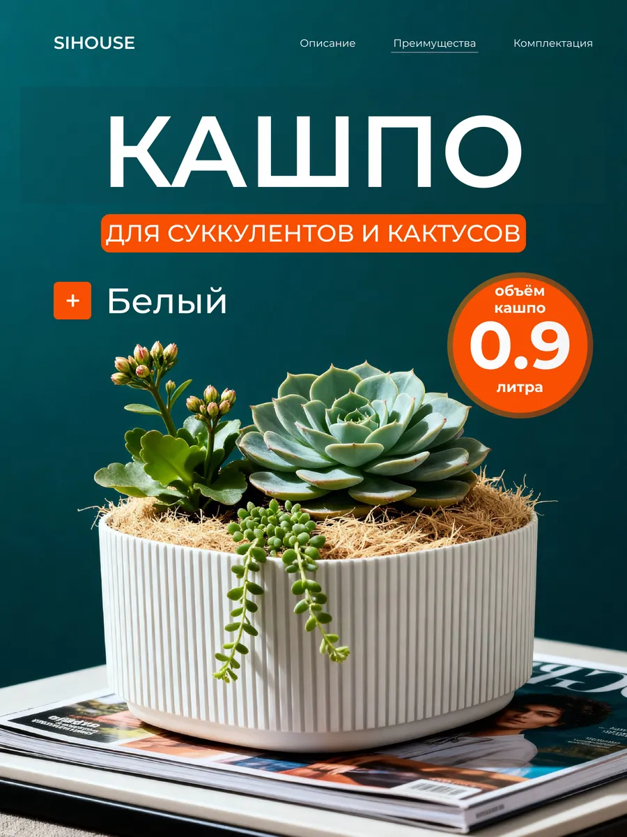 Кашпо для суккулентов и кактусов 0.9 л