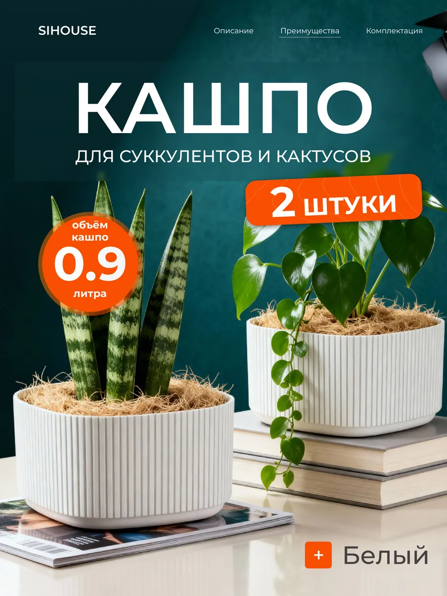 Кашпо для кактусов и суккулентов 0.9 л 2 шт с вставкой