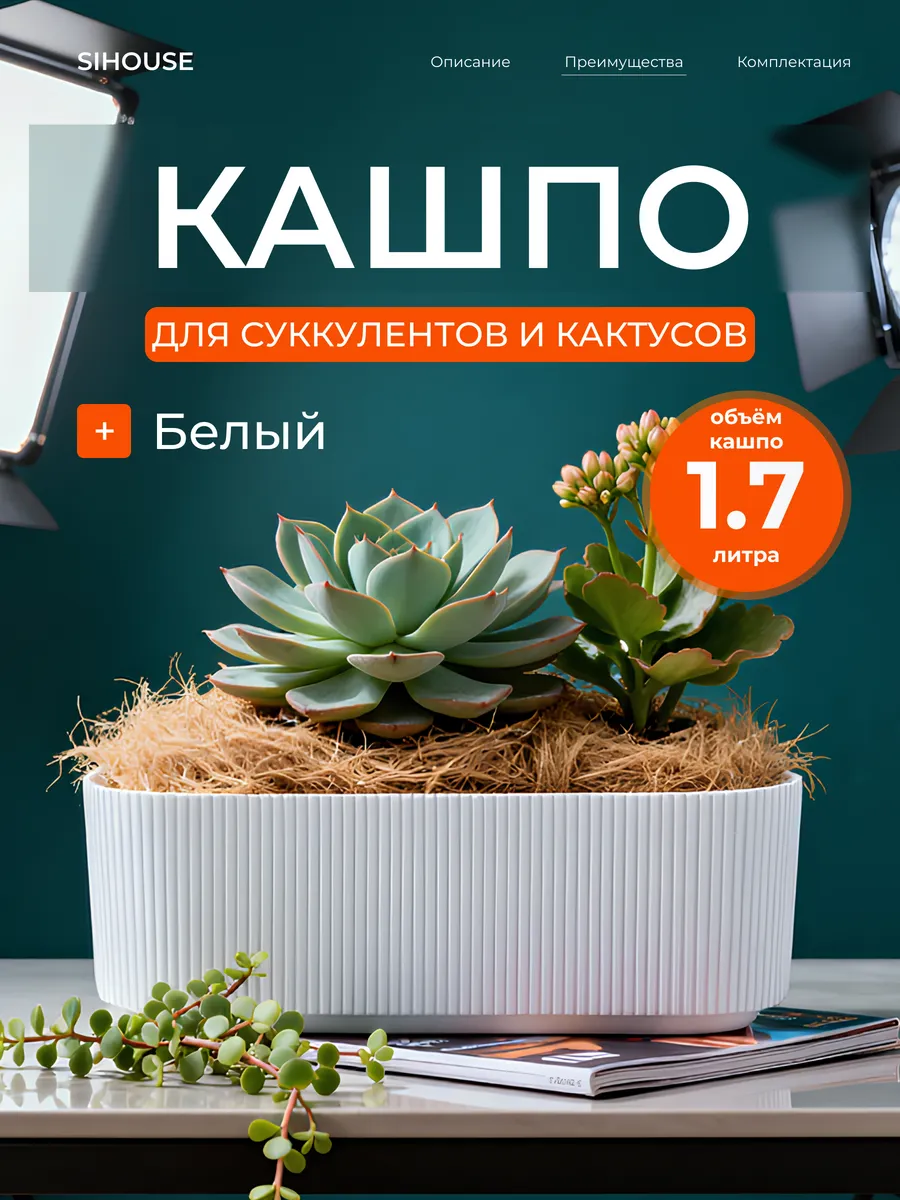 Кашпо для суккулентов и кактусов 1.7 л