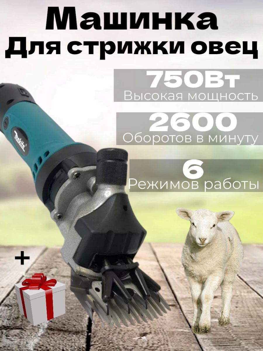 стригальная машина для овец/ Makita 221064587 купить за 47 500 ₽ в  интернет-магазине Wildberries