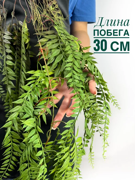 Rайский сад Лиана для декора свисающая зелень папоротник ампельная лиана, зеленый, фото 2
