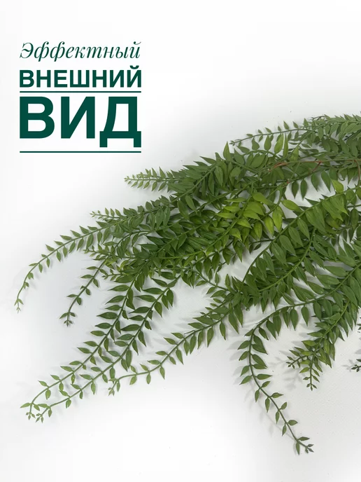 Rайский сад Лиана для декора свисающая зелень папоротник ампельная лиана, зеленый, фото 4