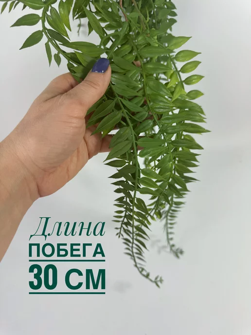 Rайский сад Лиана для декора свисающая зелень папоротник ампельная лиана, зеленый, фото 5