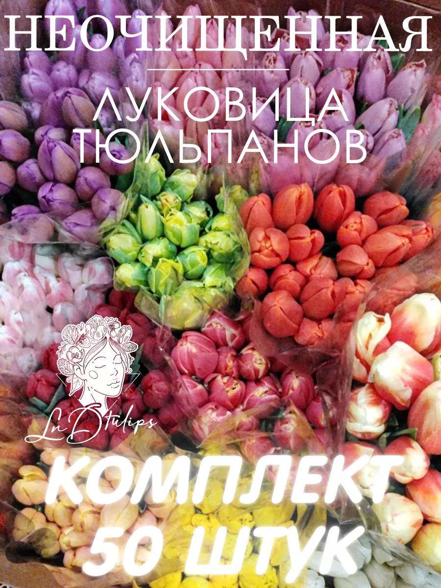 Луковицы тюльпанов 50 штук неочищенные микс LNDTulips 221108513 купить в  интернет-магазине Wildberries