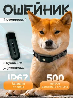 Ошейник электронный дрессировочный для собак SuperPets 221178037 купить за 1 732 ₽ в интернет-магазине Wildberries