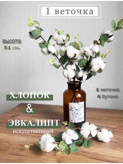 Сухоцветы для декора - Эвкалипт с Хлопком 221179042 купить за 297 ₽ в интернет-магазине Wildberries