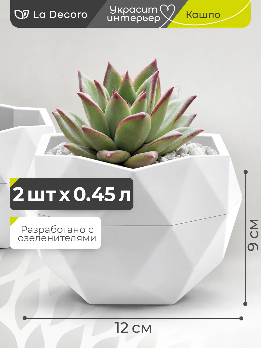 Кашпо для суккулентов, горшок для кактуса