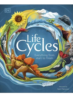 Life Cycles Жизненные циклы