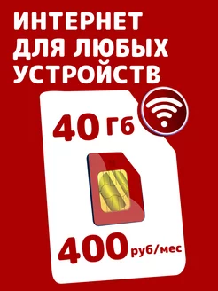 Тариф 40 Гб 221370078 купить за 49 ₽ в интернет-магазине Wildberries