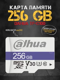 Карта памяти MicroSD DHI-TF-C100 256GB