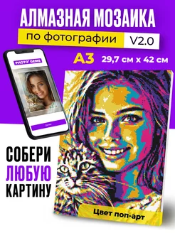 Photo Gems Алмазная мозаика по фотографии на подрамнике А3