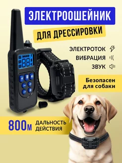 Ошейник для собак электронный дрессировочный SuperPets 221690966 купить за 1 687 ₽ в интернет-магазине Wildberries