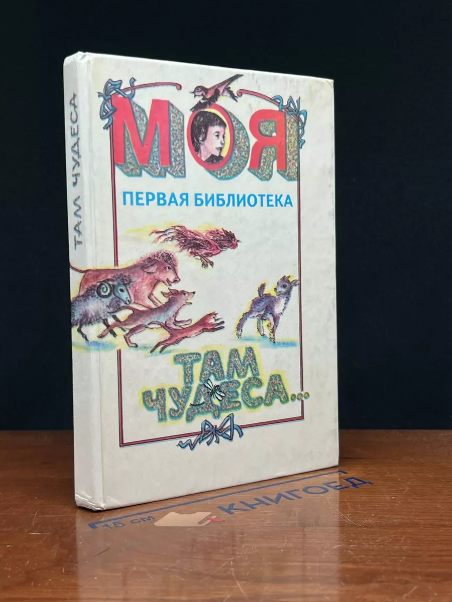 Моя первая библиотека. Там чудеса