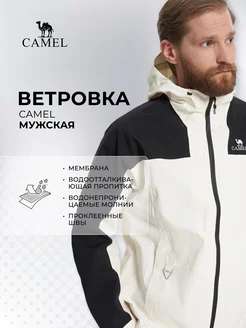 Ветровка CAMEL 221847248 купить за 3 116 ₽ в интернет-магазине Wildberries