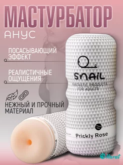 Мастурбатор анус, секс, реалистичный SNAIL Cup 221928193 купить за 1 234 ₽ в интернет-магазине Wildberries