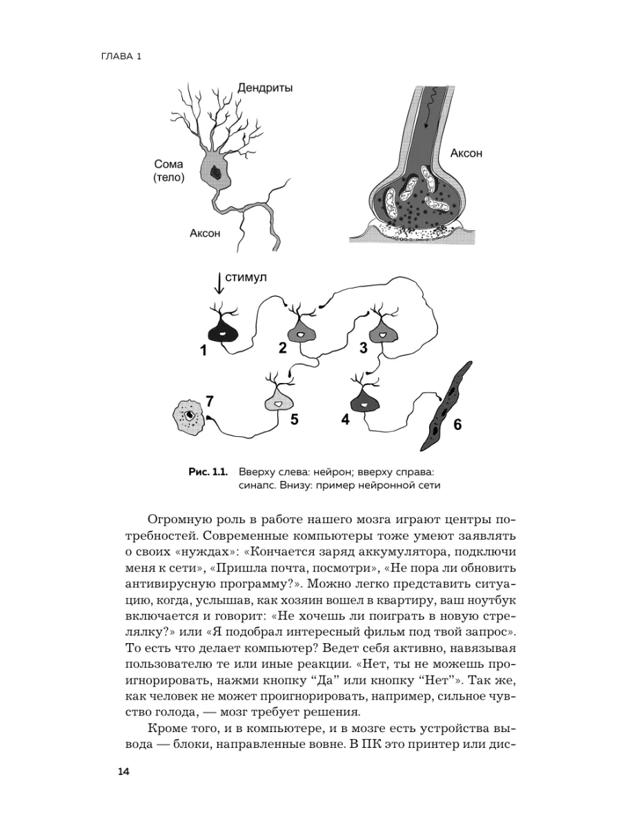 Мозг и его потребности 2.0. От питания до признания Эксмо 221985766 купить  за 776 ₽ в интернет-магазине Wildberries