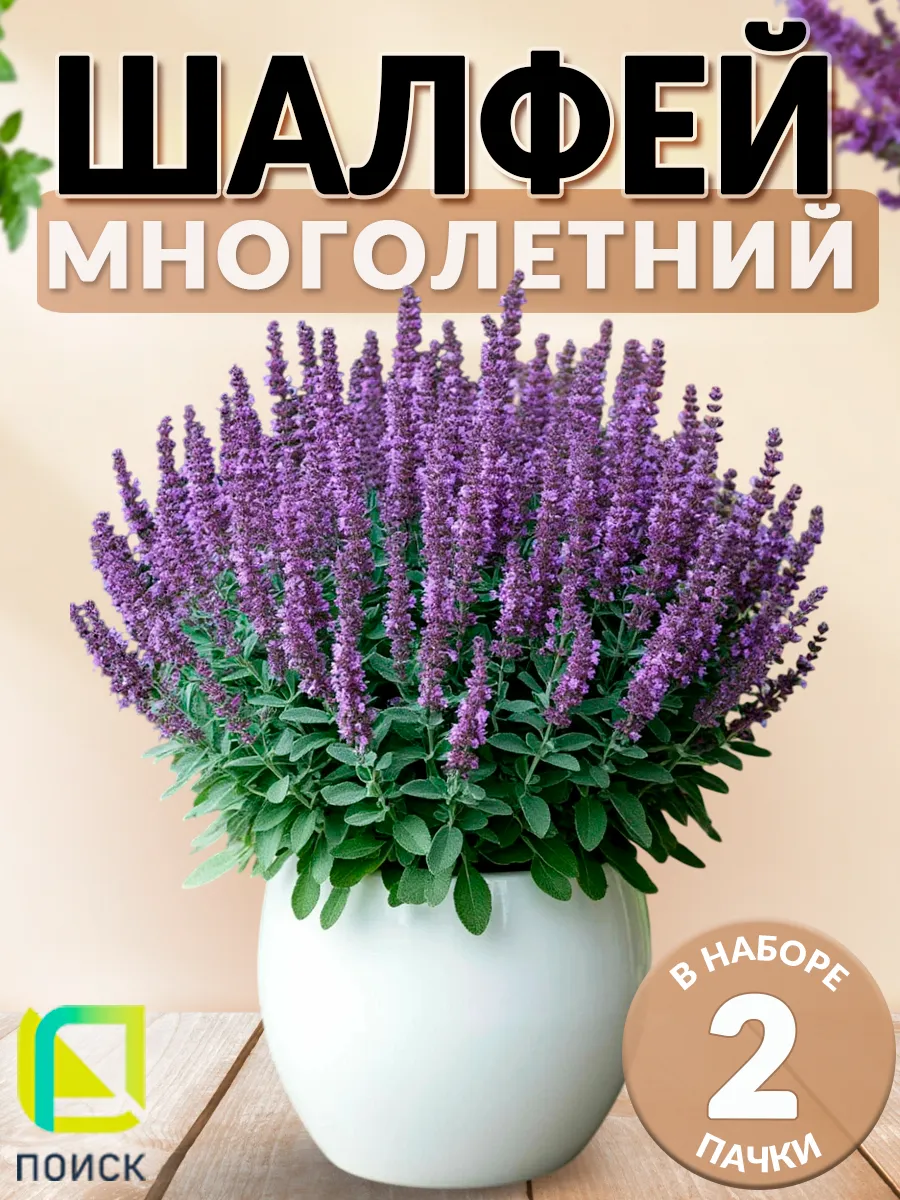 Семена Шалфея пышный...