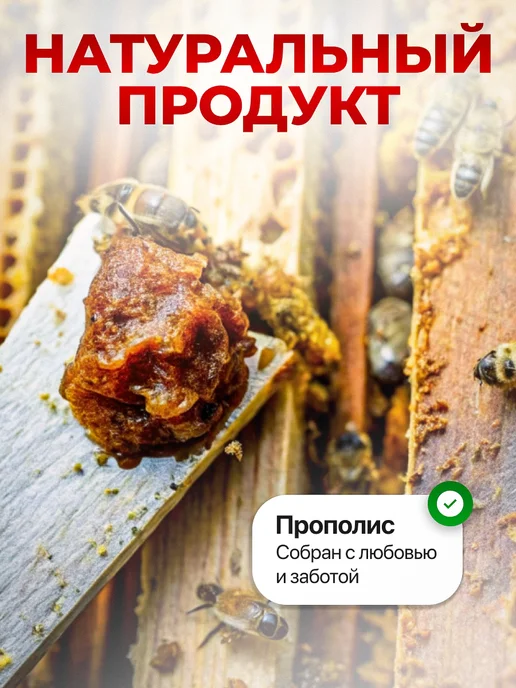 bee lab Экстракт прополиса 100 мл, 100 мл, фото 6
