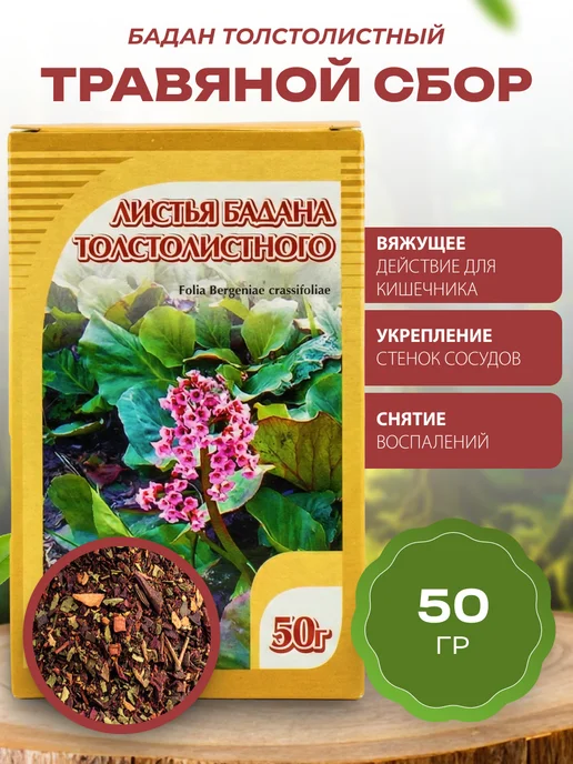 bee lab Бадан толстолистный листья 50 гр, 50 г