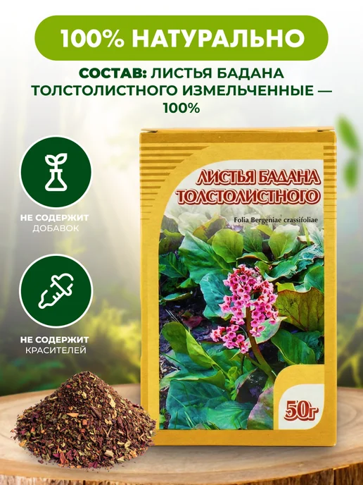 bee lab Бадан толстолистный листья 50 гр, 50 г, фото 5