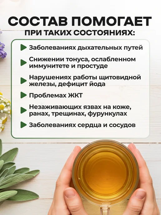 bee lab Уснея бородатая Данила Травник 50 гр. 2шт, 50 г, 2 шт, фото 4