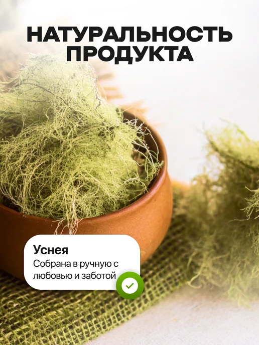 bee lab Уснея бородатая Данила Травник 50 гр. 2шт, 50 г, 2 шт, фото 7