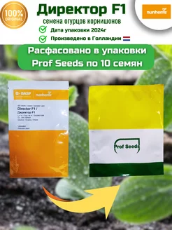 Семена Огурцов Директор 10шт Nunhems 222116429 купить за 174 ₽ в интернет-магазине Wildberries