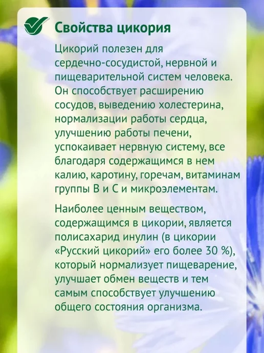 Русский цикорий Цикорий растворимый с черникой и шиповником 100 г, 100 г, 1 шт, фото 3