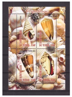 Почтовые марки Чад 2013 г Моллюски MNH(**)