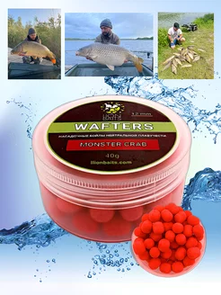 Бойлы нейтральной плавучести Wafters 12мм Lion Baits 222184628 купить за 257 ₽ в интернет-магазине Wildberries