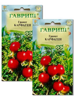 Гранат Карфаген, 2 пакета, семена по 5шт, комнатный гавриш 222259514 купить за 188 ₽ в интернет-магазине Wildberries