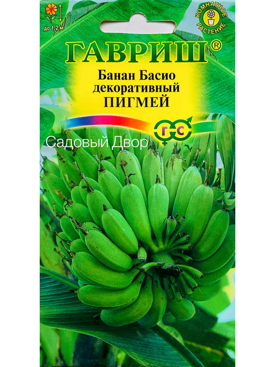 Банан декоративный Пигмей, 1 пакет, семена 3шт